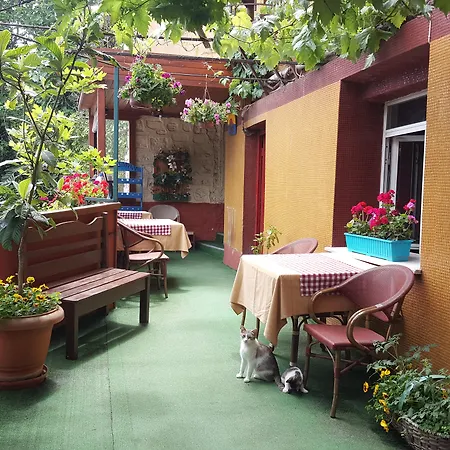 Anadolu Отель 3*