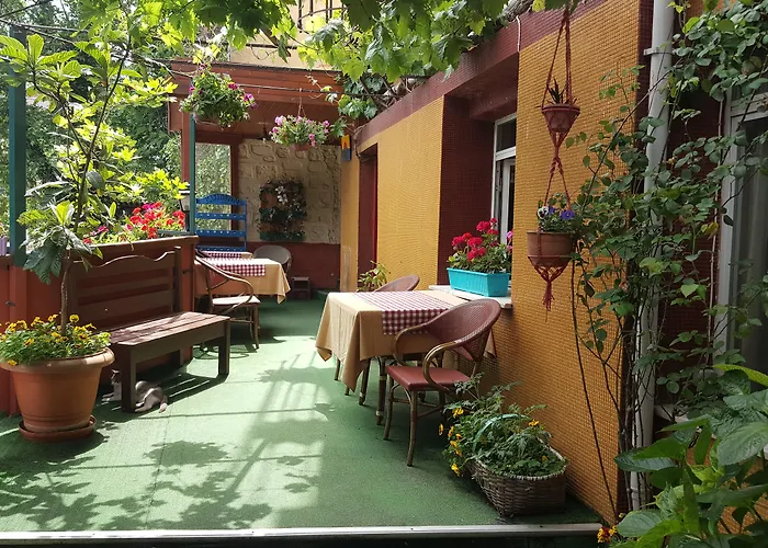 酒店 安纳多路酒店 3*