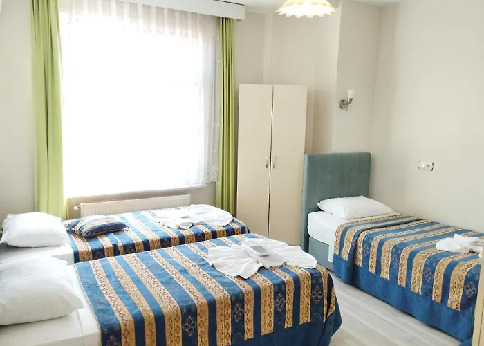 安纳多路酒店 3* 伊斯坦布尔