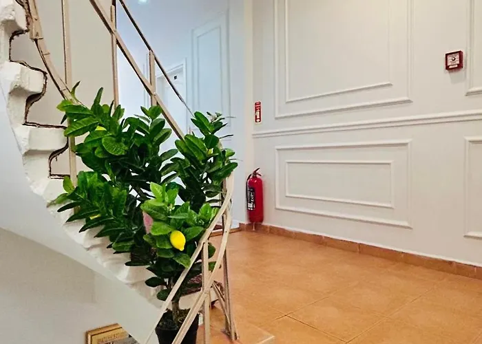 酒店 安纳多路酒店