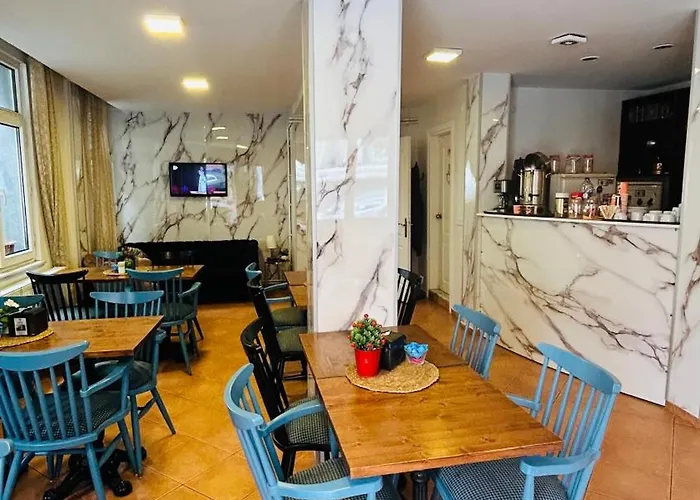 酒店 安纳多路酒店 伊斯坦布尔