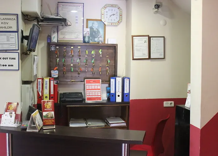 酒店 安纳多路酒店 伊斯坦布尔