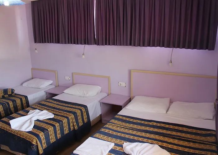 酒店 安纳多路酒店