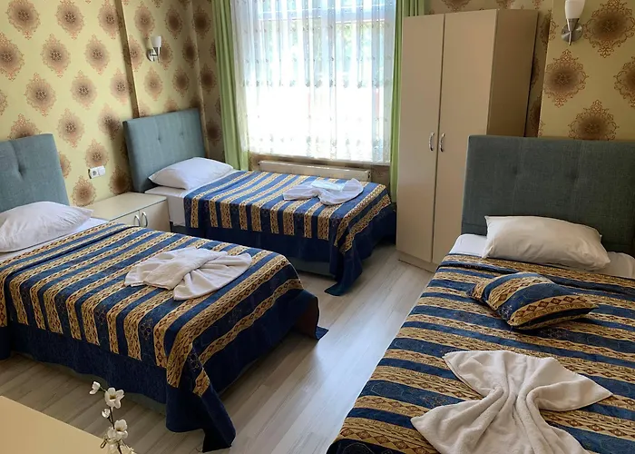 Anadolu Hotel Stambuł